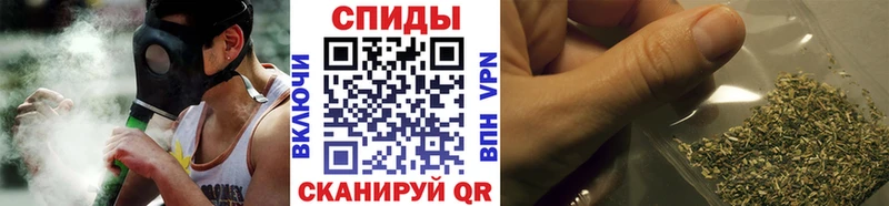Купить где Бабаево Бутират буратино