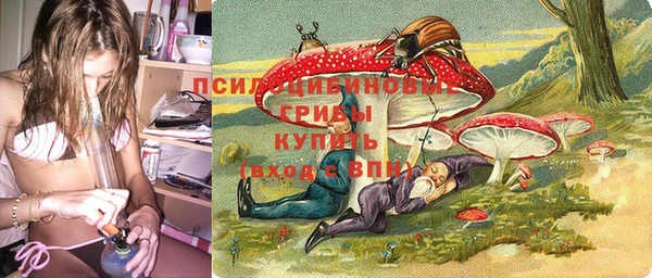 крисы Волоколамск