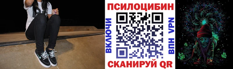 Псилоцибиновые грибы Magic Shrooms  Купить где  Бабаево 